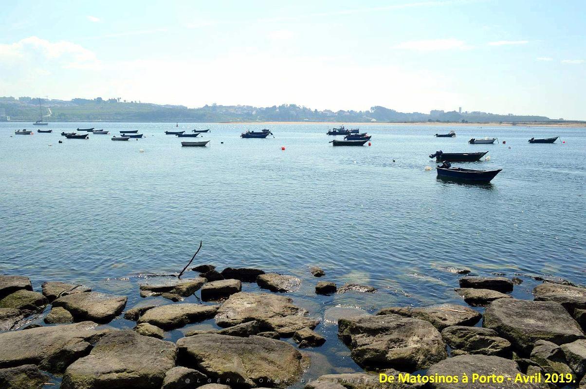0800 - De Matosinhos a Porto.JPG